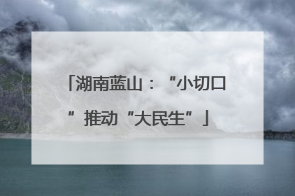 湖南蓝山：“小切口”推动“大民生”