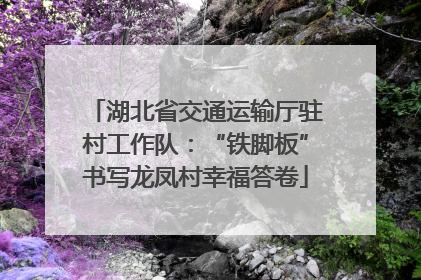 湖北省交通运输厅驻村工作队：“铁脚板”书写龙凤村幸福答卷
