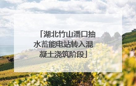 湖北竹山潘口抽水蓄能电站转入混凝土浇筑阶段
