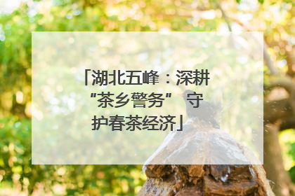 湖北五峰：深耕“茶乡警务” 守护春茶经济