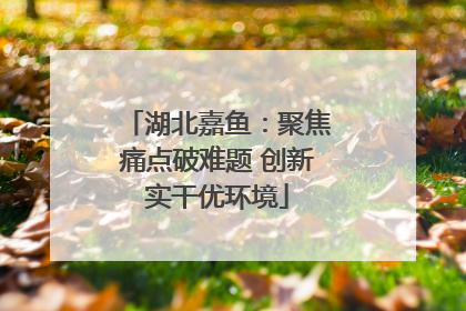 湖北嘉鱼：聚焦痛点破难题 创新实干优环境
