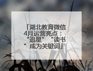 湖北教育微信4月运营亮点：“追星”“读书”成为关键词
