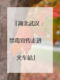 湖北武汉：禁毒宣传走进火车站