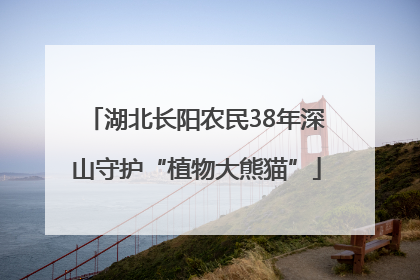 湖北长阳农民38年深山守护“植物大熊猫”