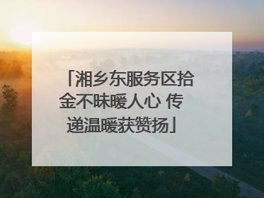 湘乡东服务区拾金不昧暖人心 传递温暖获赞扬