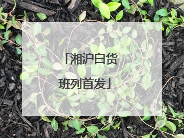 湘沪白货班列首发