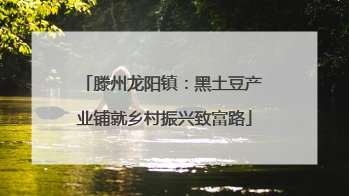 滕州龙阳镇：黑土豆产业铺就乡村振兴致富路