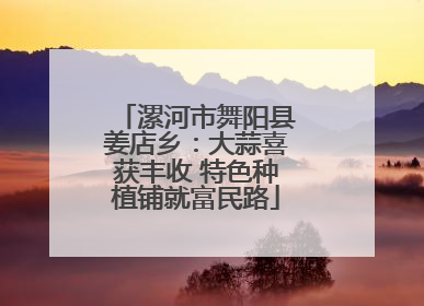 漯河市舞阳县姜店乡：大蒜喜获丰收 特色种植铺就富民路