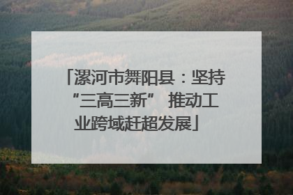 漯河市舞阳县：坚持“三高三新” 推动工业跨域赶超发展