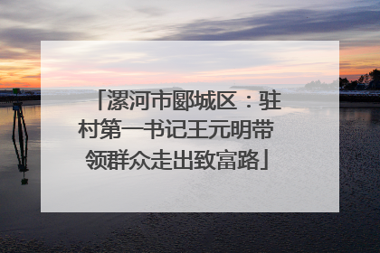 漯河市郾城区：驻村第一书记王元明带领群众走出致富路
