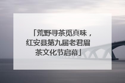 荒野寻茶觅真味，红安县第九届老君眉茶文化节启幕