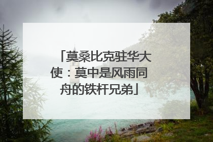 莫桑比克驻华大使：莫中是风雨同舟的铁杆兄弟