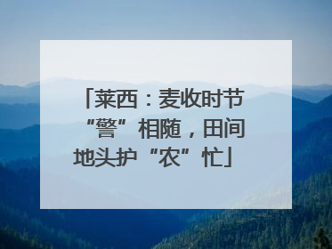 莱西：麦收时节“警”相随，田间地头护“农”忙