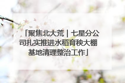 聚焦北大荒｜七星分公司扎实推进水稻育秧大棚基地清理整治工作