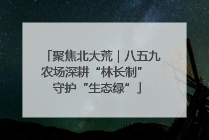 聚焦北大荒｜八五九农场深耕“林长制” 守护“生态绿”