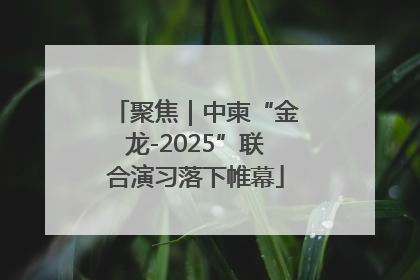 聚焦｜中柬“金龙-2025”联合演习落下帷幕