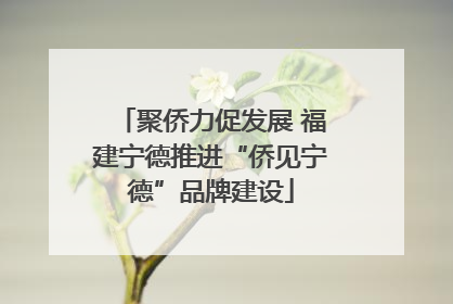聚侨力促发展 福建宁德推进“侨见宁德”品牌建设