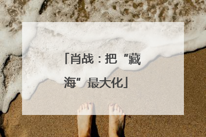 肖战：把“藏海”最大化