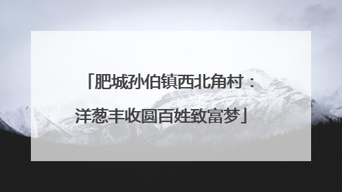肥城孙伯镇西北角村：洋葱丰收圆百姓致富梦