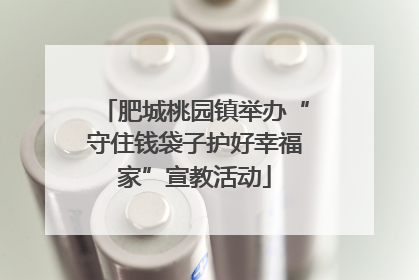 肥城桃园镇举办“守住钱袋子护好幸福家”宣教活动