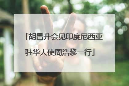 胡昌升会见印度尼西亚驻华大使周浩黎一行