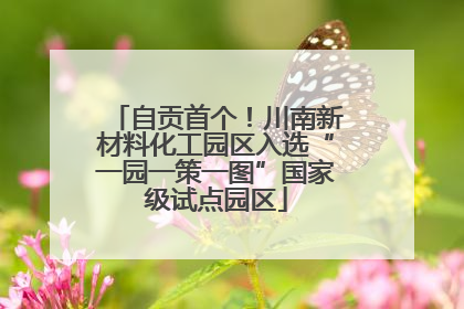 自贡首个！川南新材料化工园区入选“一园一策一图”国家级试点园区