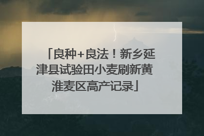 良种+良法！新乡延津县试验田小麦刷新黄淮麦区高产记录