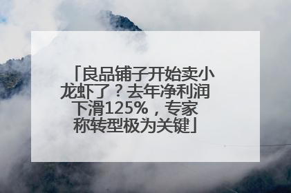 良品铺子开始卖小龙虾了？去年净利润下滑125%，专家称转型极为关键