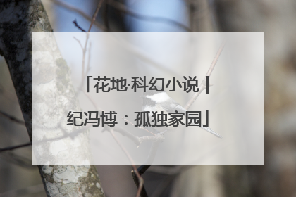 花地·科幻小说｜纪冯博：孤独家园