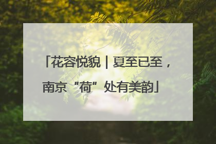 花容悦貌｜夏至已至，南京“荷”处有美韵