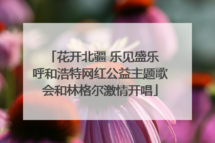 花开北疆 乐见盛乐 呼和浩特网红公益主题歌会和林格尔激情开唱