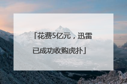 花费5亿元，迅雷已成功收购虎扑