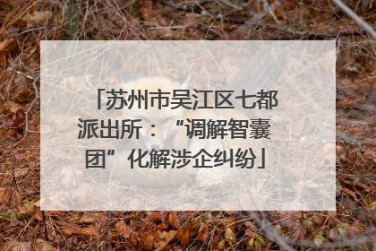 苏州市吴江区七都派出所：“调解智囊团”化解涉企纠纷
