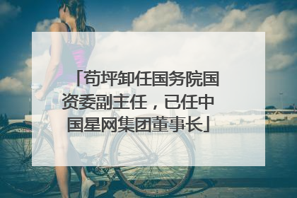 苟坪卸任国务院国资委副主任，已任中国星网集团董事长