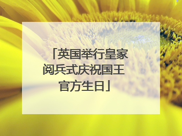 英国举行皇家阅兵式庆祝国王官方生日