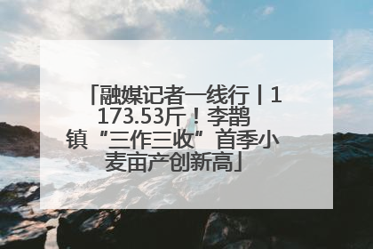 融媒记者一线行丨1173.53斤！李鹊镇“三作三收”首季小麦亩产创新高