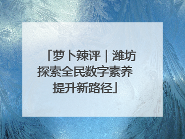 萝卜辣评｜潍坊探索全民数字素养提升新路径