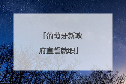 葡萄牙新政府宣誓就职