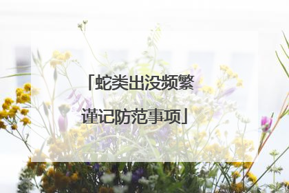 蛇类出没频繁 谨记防范事项