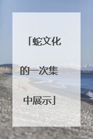 蛇文化的一次集中展示