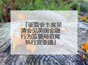 证监会主席吴清会见英国金融行为监管局首席执行官亚迪