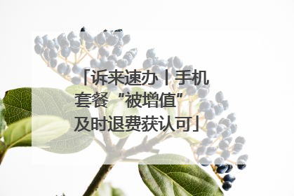 诉来速办丨手机套餐“被增值” 及时退费获认可