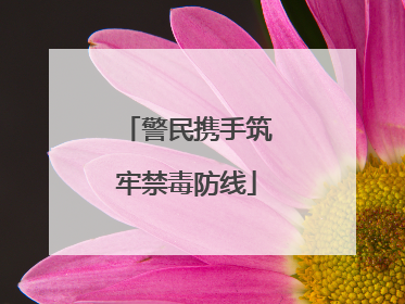 警民携手筑牢禁毒防线