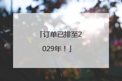 订单已排至2029年！