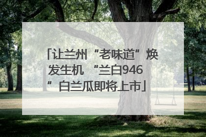 让兰州“老味道”焕发生机 “兰白946”白兰瓜即将上市