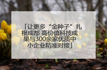 让更多“金种子”扎根成都 高价值科技成果与300余家优质中小企业精准对接