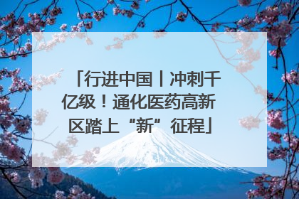 行进中国丨冲刺千亿级！通化医药高新区踏上“新”征程