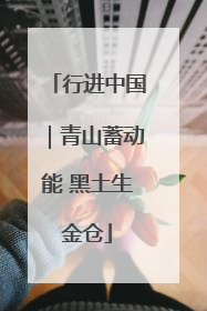 行进中国｜青山蓄动能 黑土生金仓