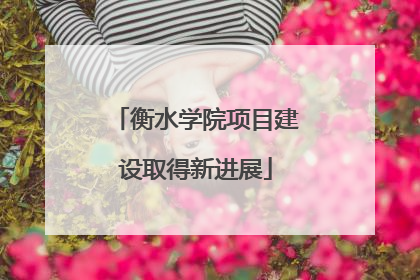 衡水学院项目建设取得新进展
