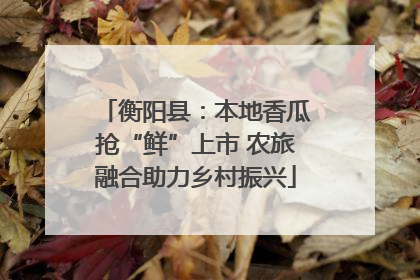 衡阳县：本地香瓜抢“鲜”上市 农旅融合助力乡村振兴